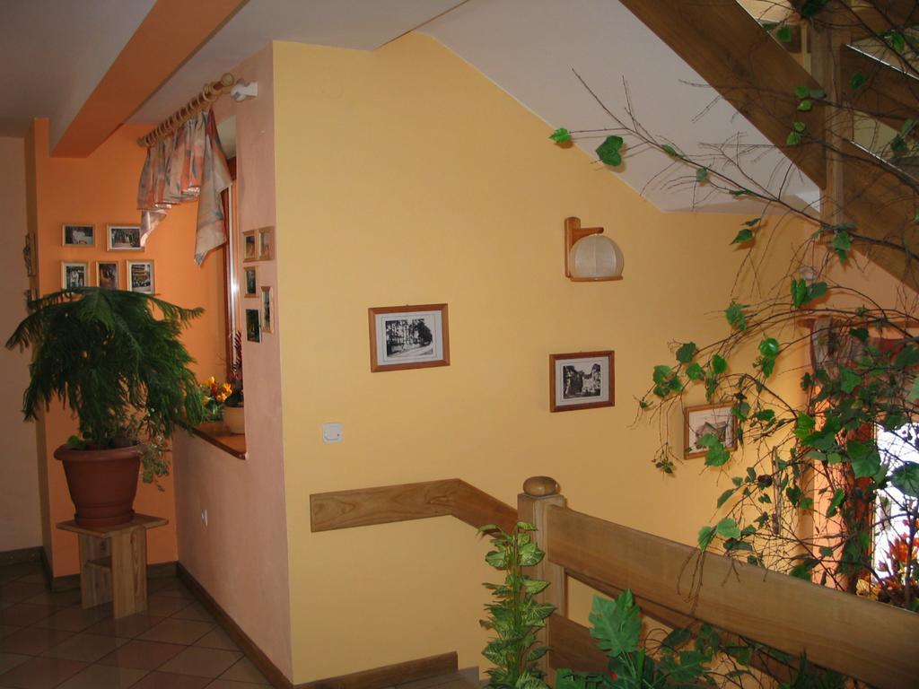 Pensjonat Lotos Krynica Morska Exterior photo